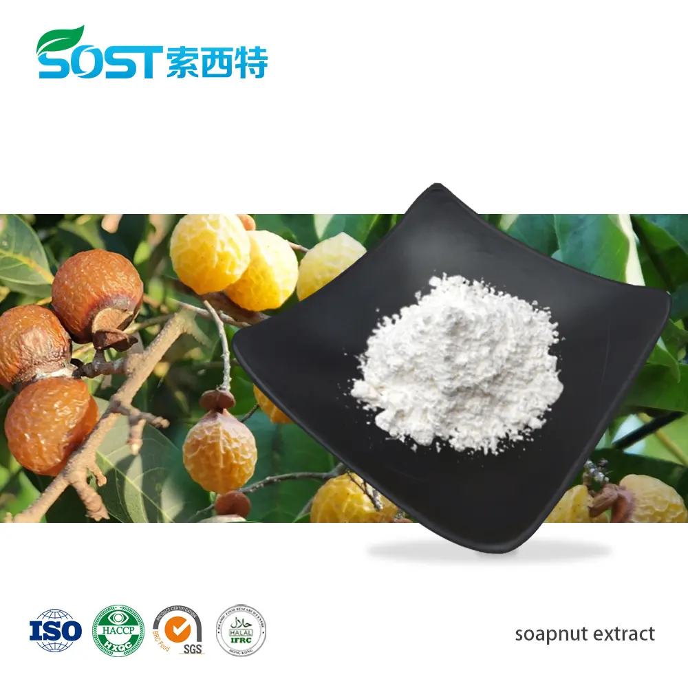 soapnut extract无患子提取物.jpg