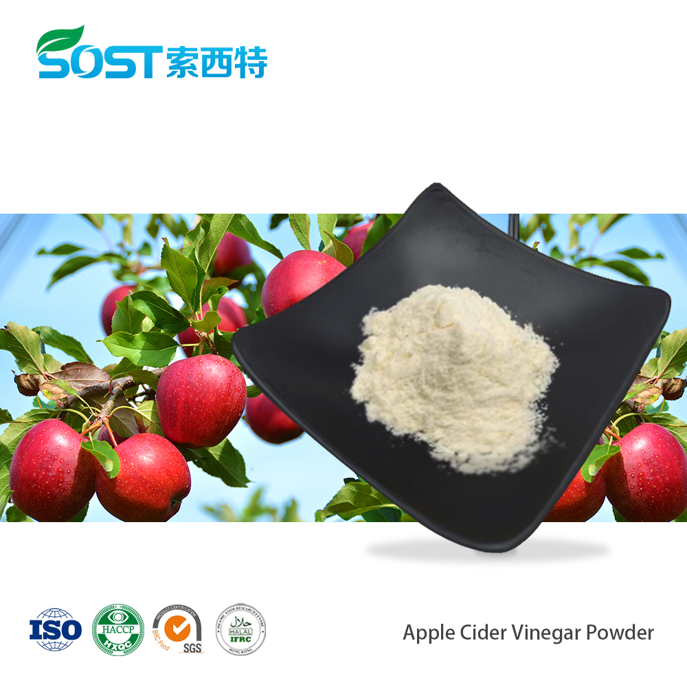Apple Cider Vinegar Powder苹果醋粉.jpg