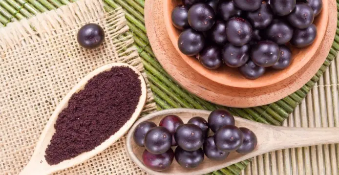 Acai Berry extract Anthocyanins
