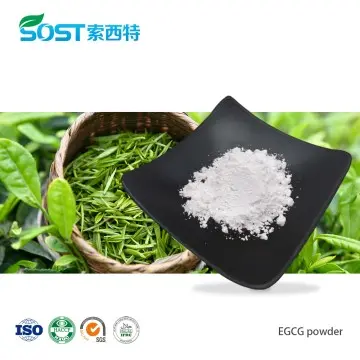 EGCG Powder