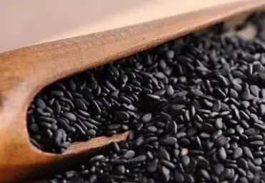 What is sesamin used for?