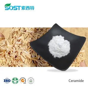 Ceramide 10% Rice Bran Extract