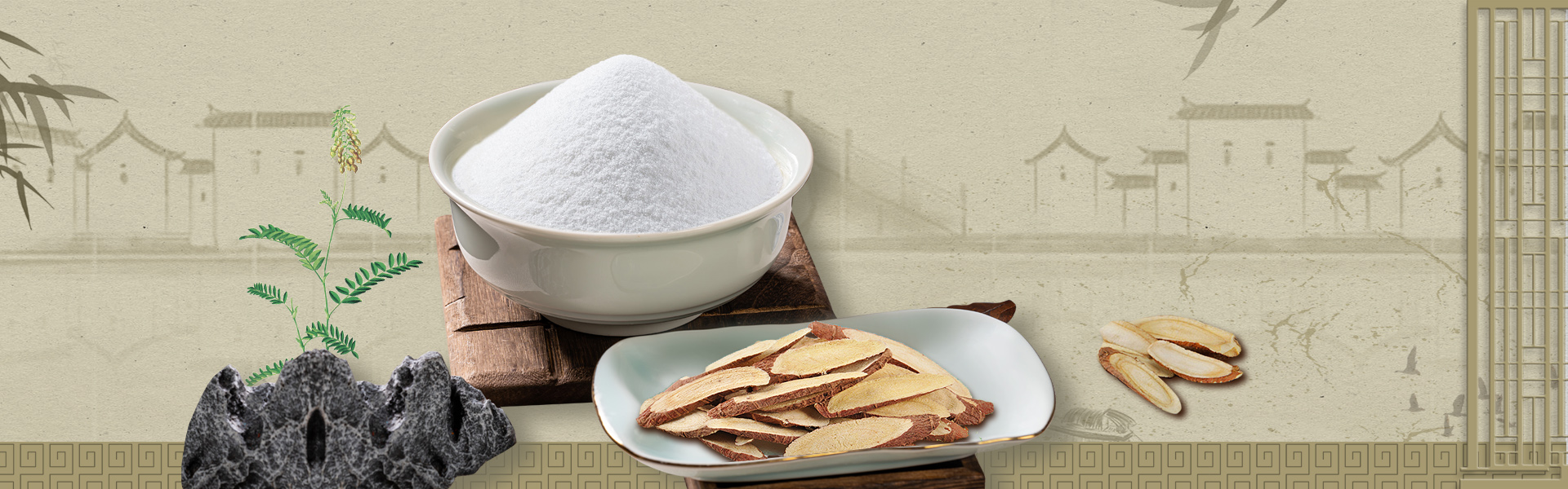 Astragalus Membranaceus Extract