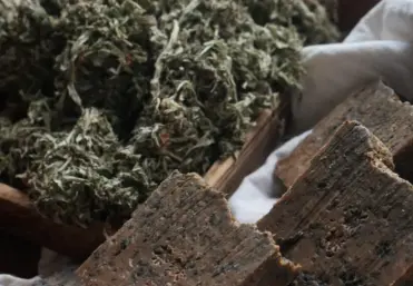 What Is the Risk of Saponins?