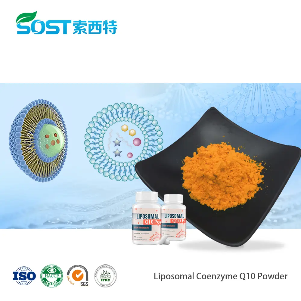 Liposomal Coenzyme Q10 Powder脂质体辅酶Q10.jpg