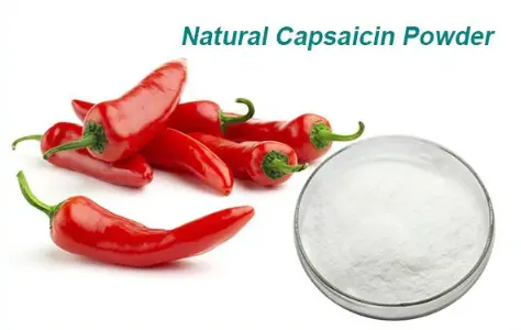 capsaicin powder
