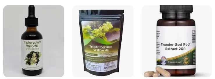 the sources of triptolide