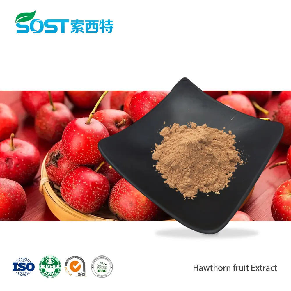 Hawthorn fruit Extract