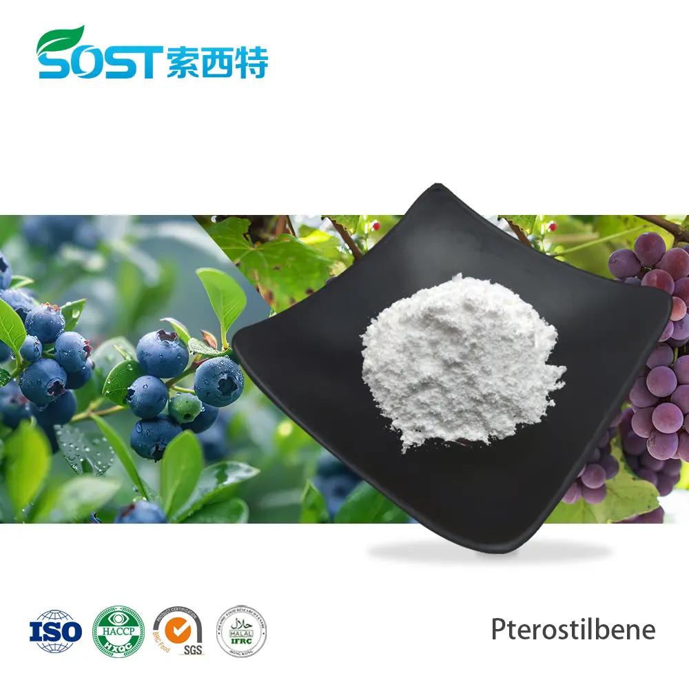 Pterostilbene 98%