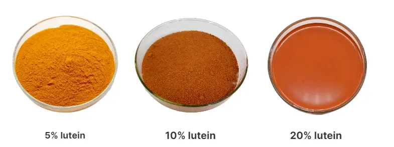 Best Price Marigold Flower Extract Lutein (1)