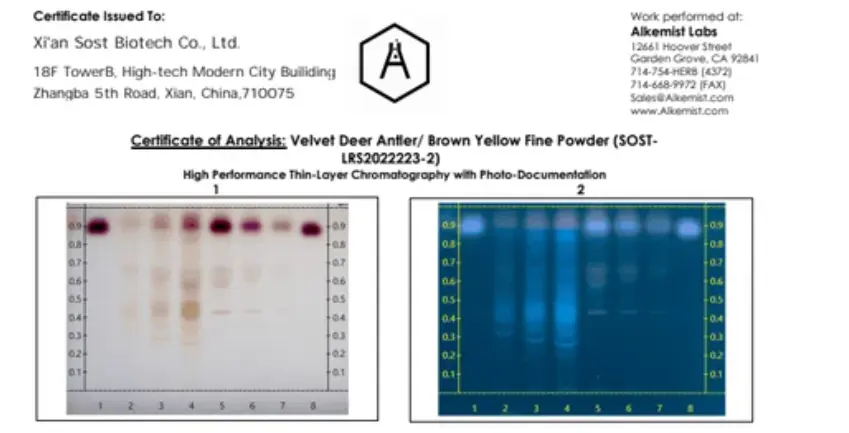 Deer Antler Velvet Extract ID test