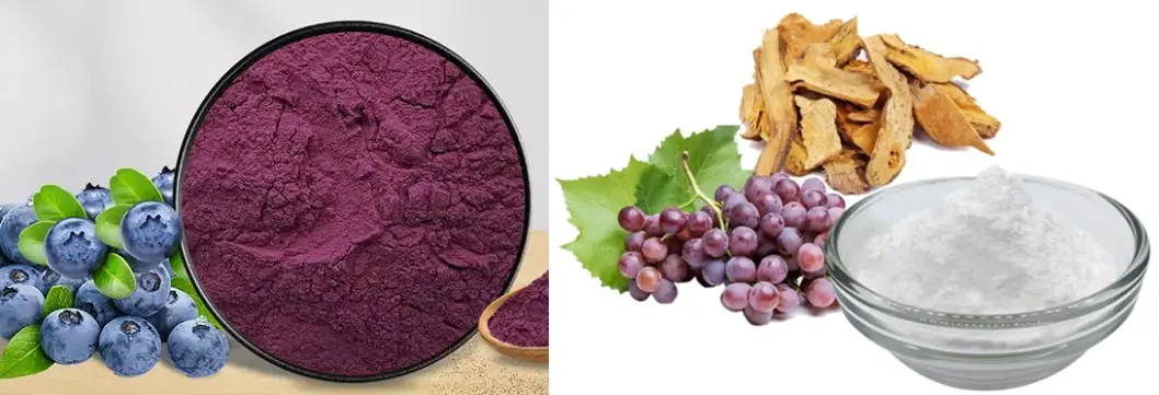 resveratrol and anthocyanins