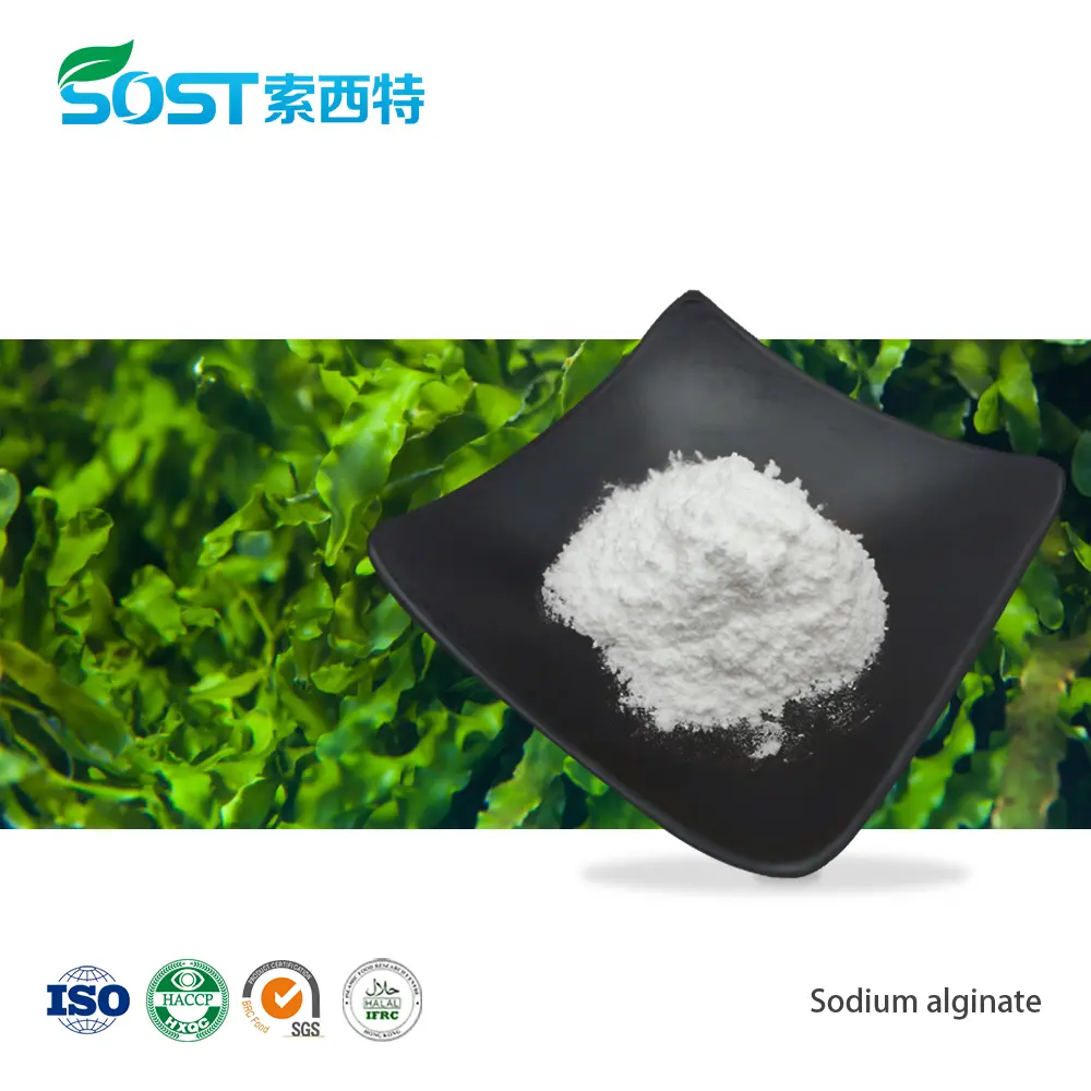 Alginic Acid Sodium Salt Powder
