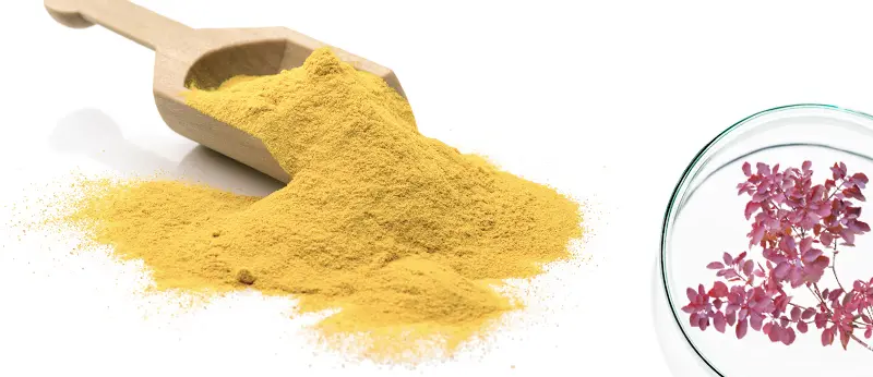 Bulk Price Fisetin Powder 98% (1)oyp