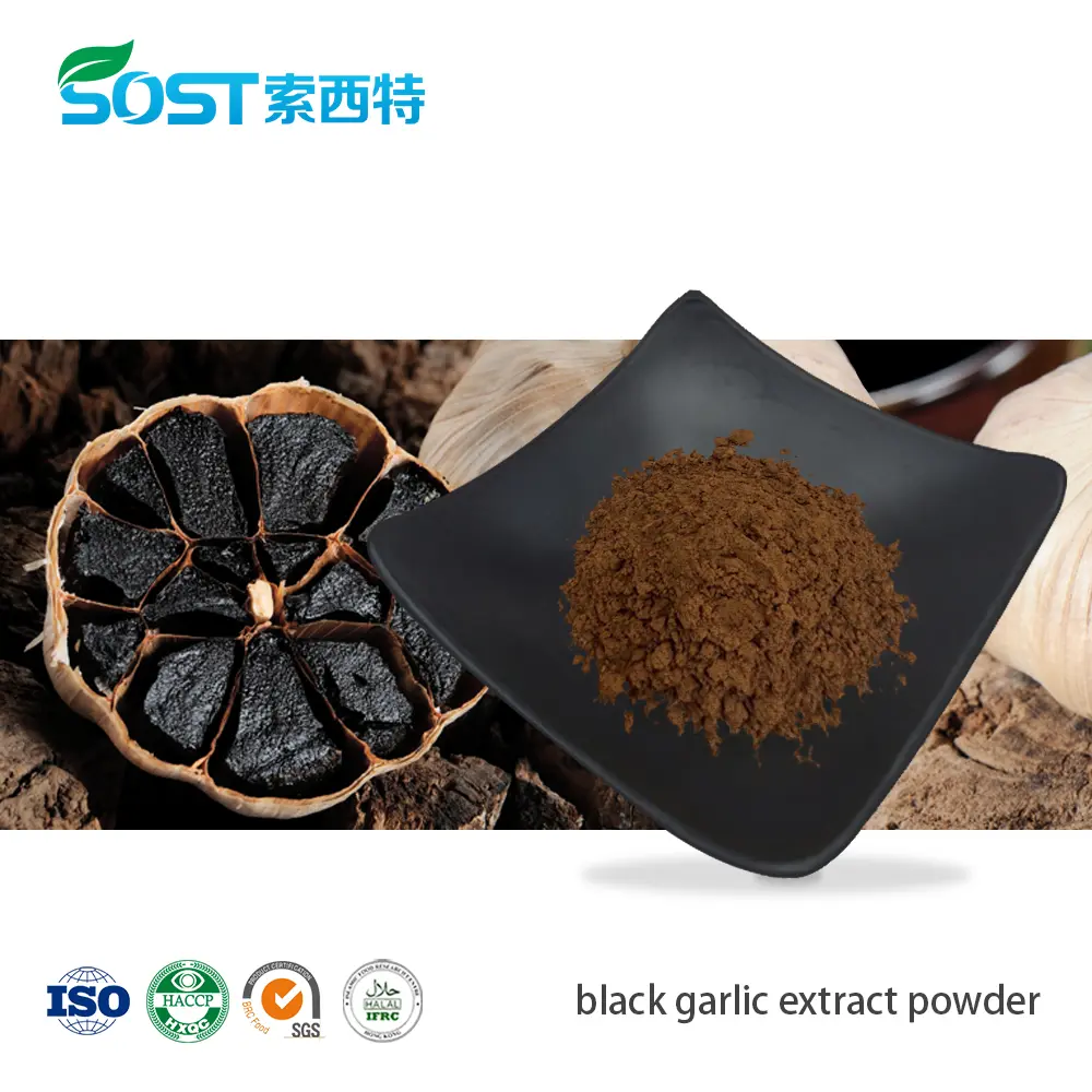 Black Garlic Extract Powder