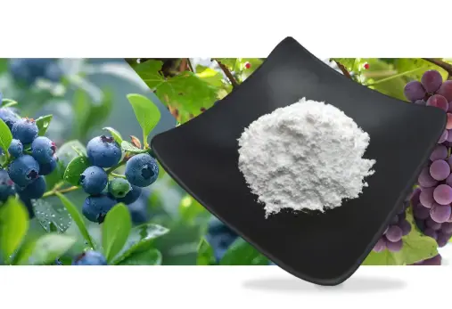 Pterostilbene powder
