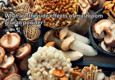What are the side effects of mushroom glucan powder?