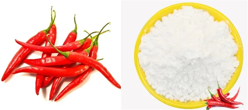 Capsaicin powder