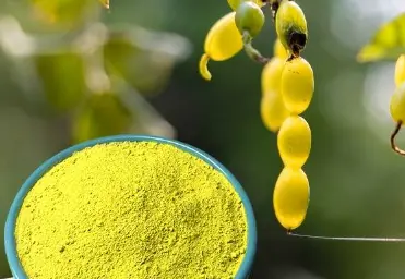 What is kaempferol?