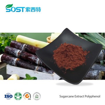 Sugarcane Polyphenols Powder
