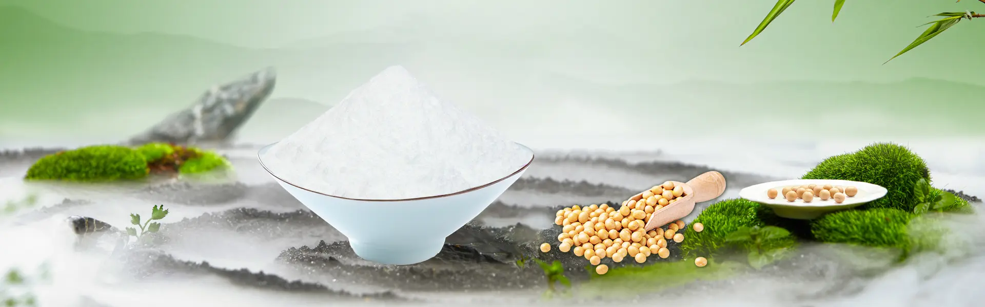 Nattokinase powder