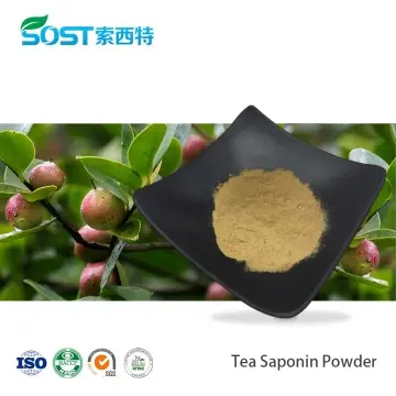 Camellia Seed Extract Tea Saponin