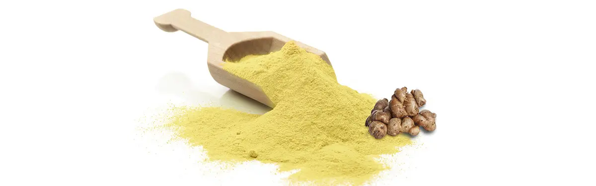 Kaempferol Powder