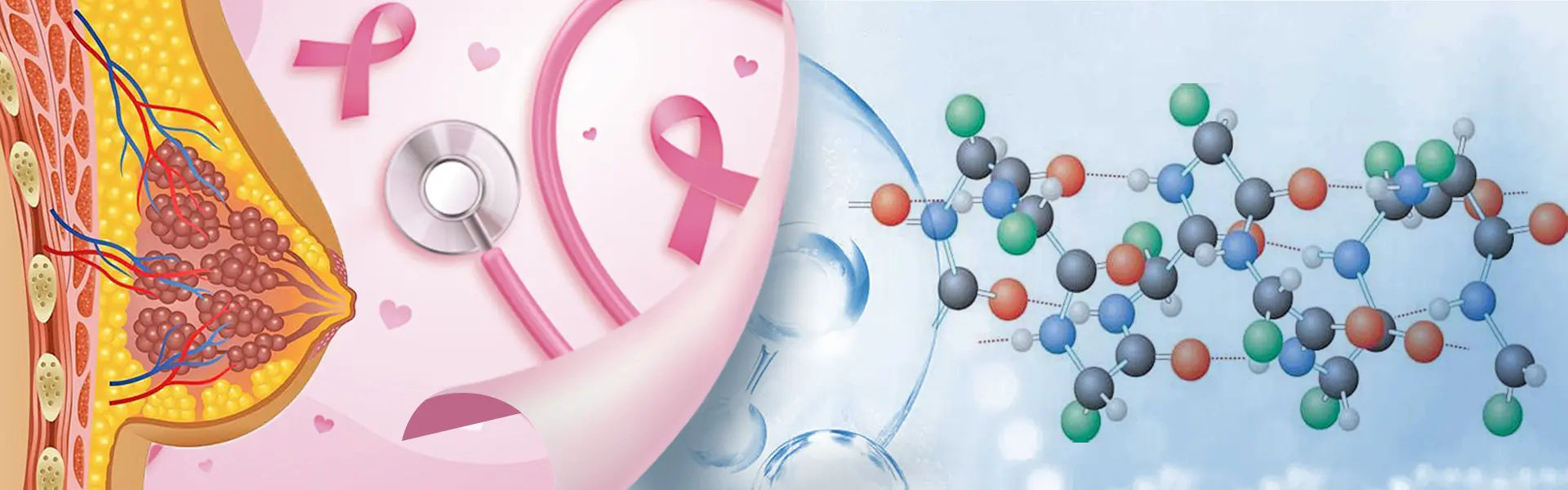 Soy Isoflavone Powder function