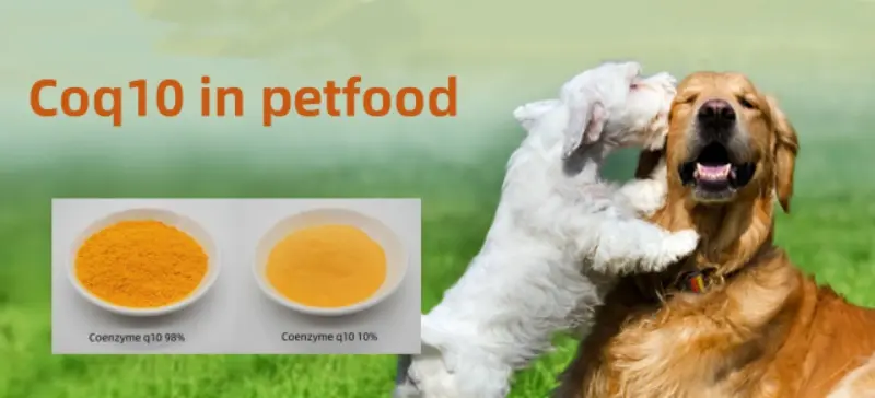 Coq10 in petfood