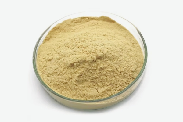 organic ginger powder factory