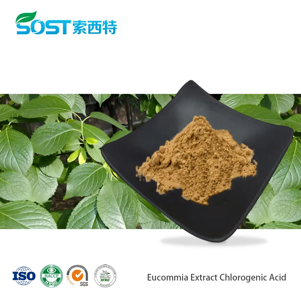 Eucommia Ulmoides Leaf Extract