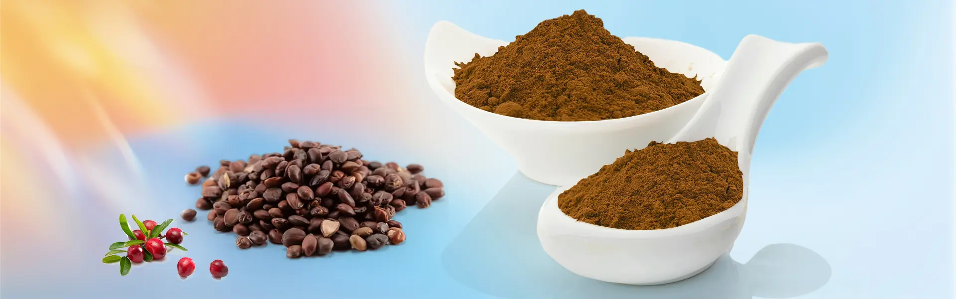 Jujuboside Jujube Seed Extract