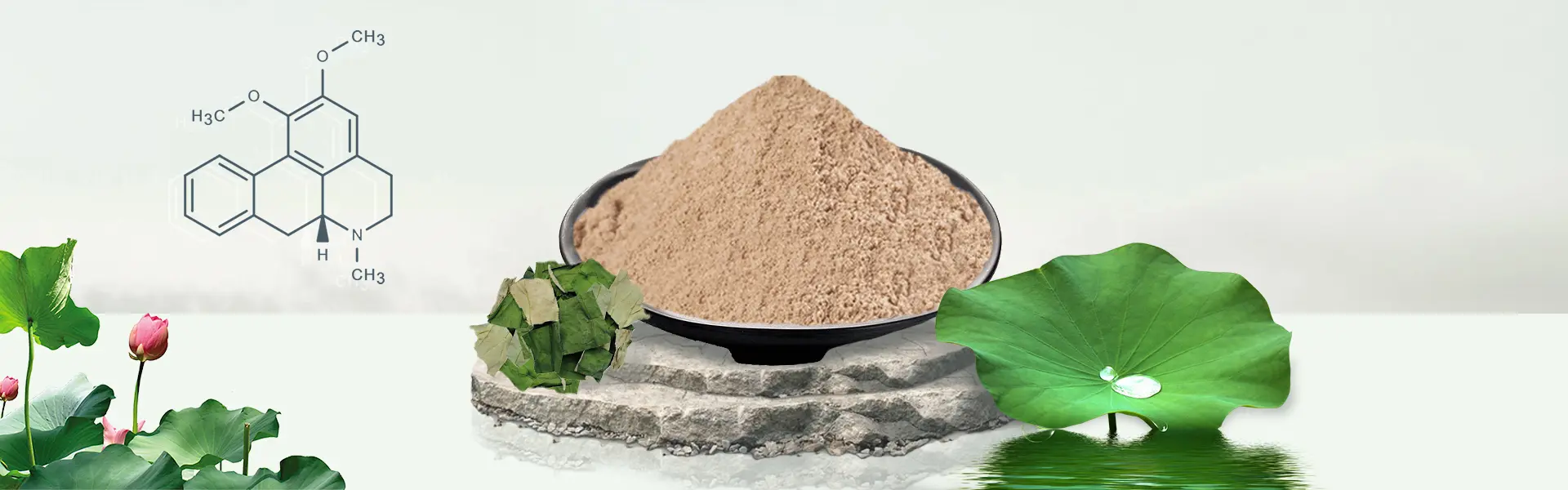 Nuciferine Lotus Leaf Extract Powder
