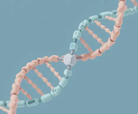 Polydeoxyribonucleotide(PDRN) Powder