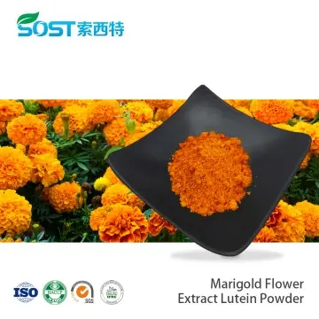 Marigold Flower Extract Lutein Powder