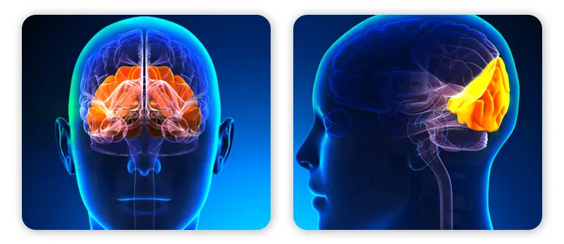 Citicoline