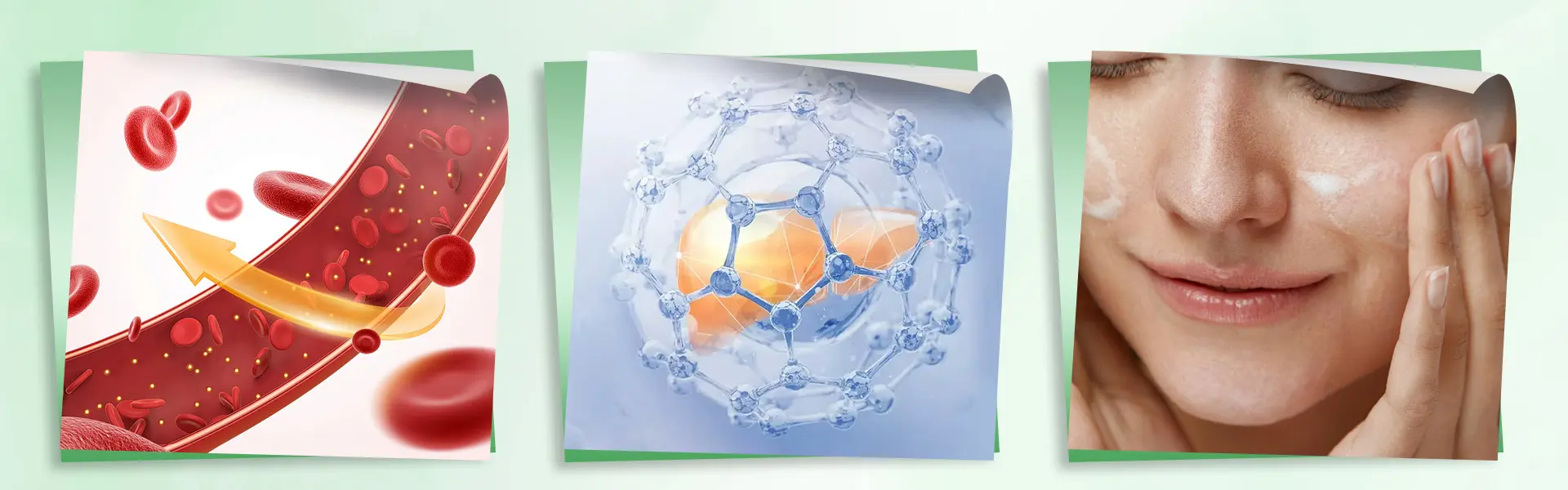 The efficacy of Polygonum Cuspidatum Extract