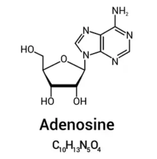 adenosine