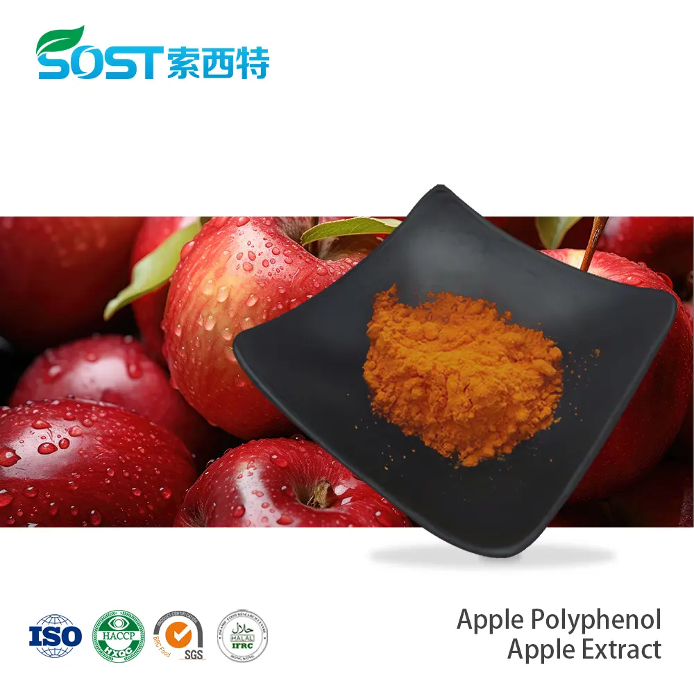 Apple Polyphenol Apple Extract