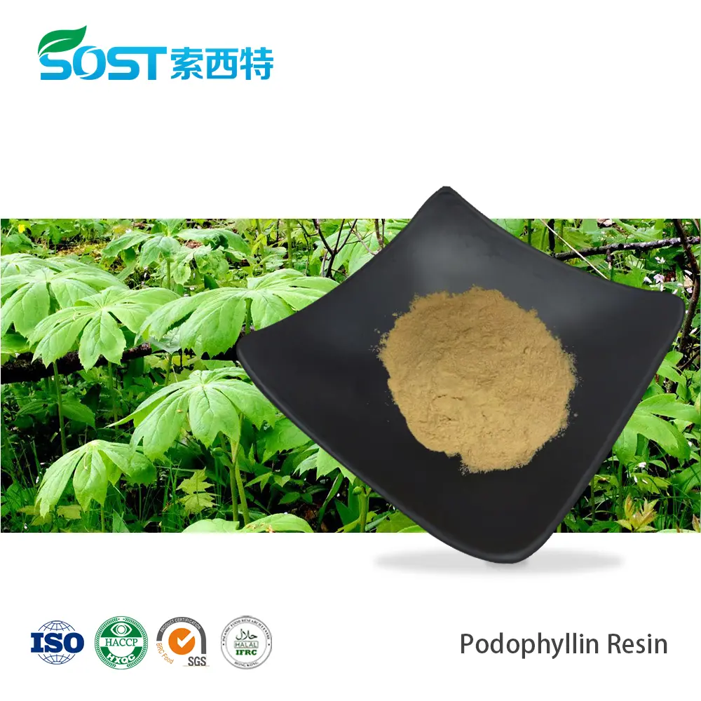 Podophyllin Resin CAS No 9000-55-9