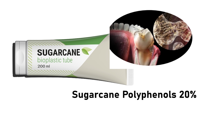 Applications of Sugarcane Polyphenols in Oral Health