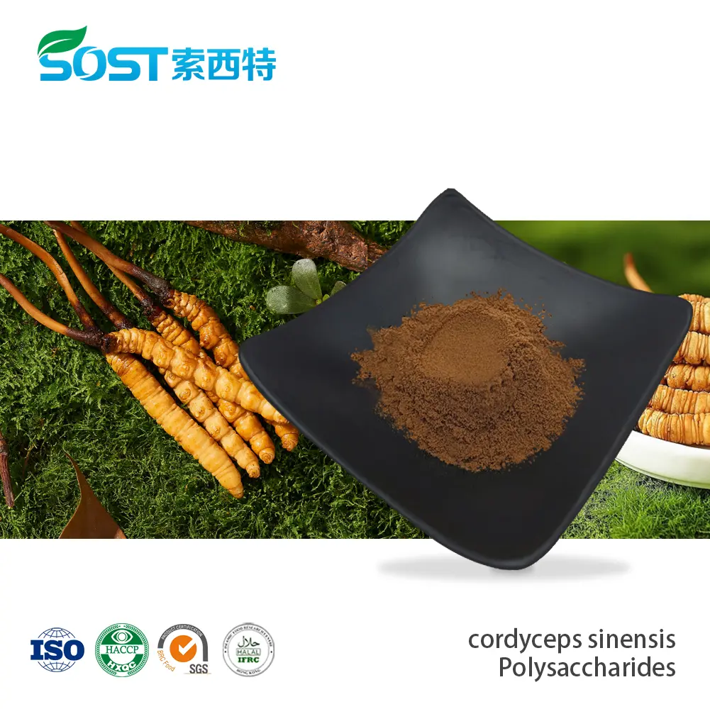 cordyceps sinensis Polysaccharides.jpg