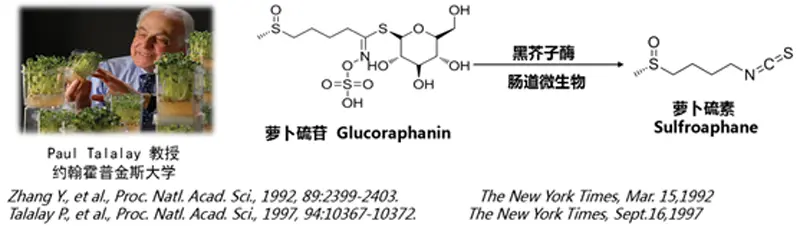 Glucoraphanin