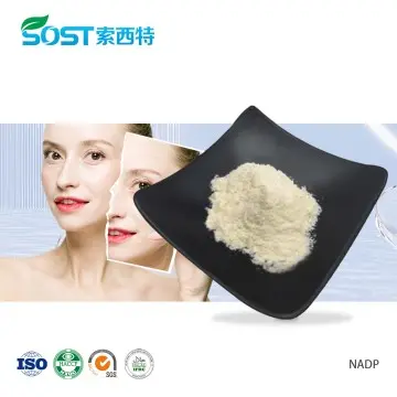 Coenzyme NADP Beta-Nicotinamide Adenine Dinucleotide Phosphate