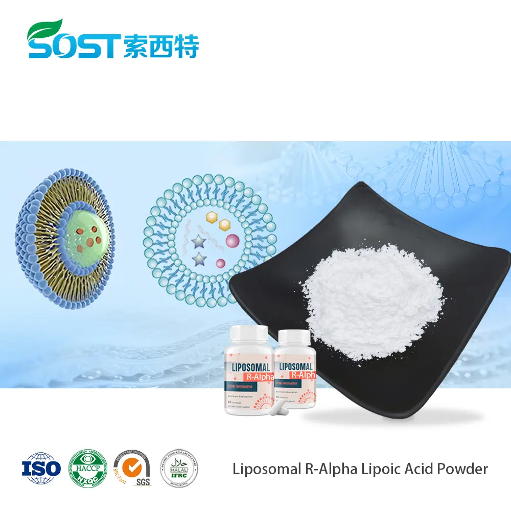 Liposomal R-Alpha Lipoic Acid Powder脂质体R-α-硫辛酸.jpg
