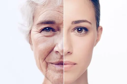 Neohesperidin: Revealing its Impressive Health Benefits