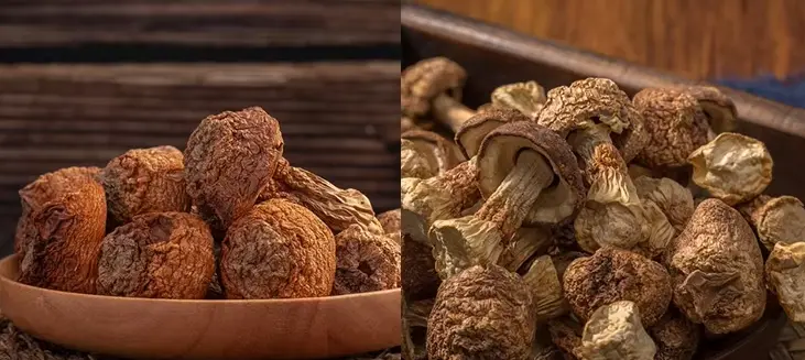 Tricholoma Matsutake Extract