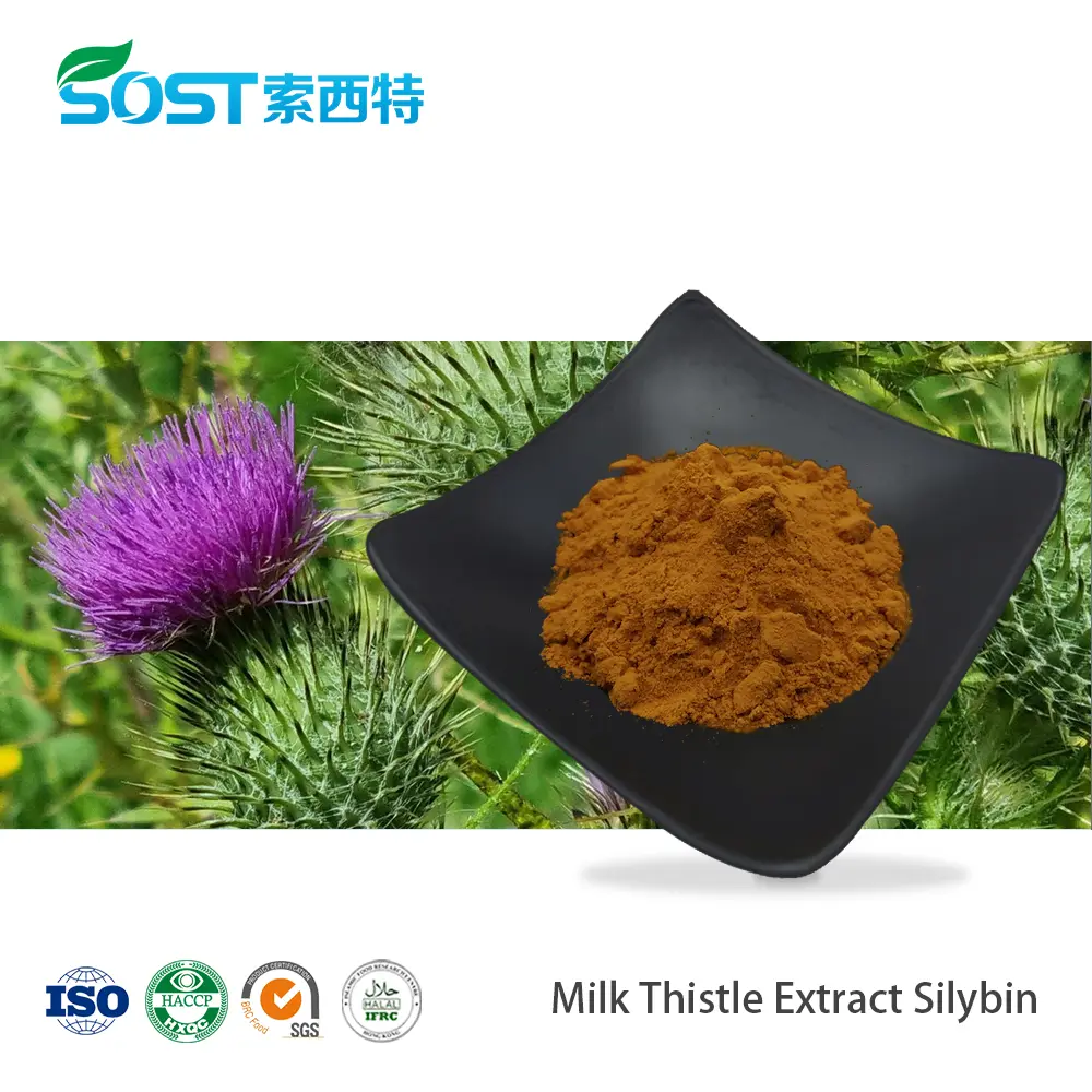 Milk Thistle Extract Silybin CAS 22888-70-6