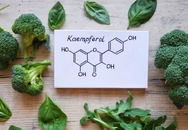 Is kaempferol the same as quercetin?