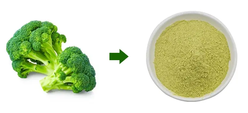 Broccoli Extract Powder Sulforaphane